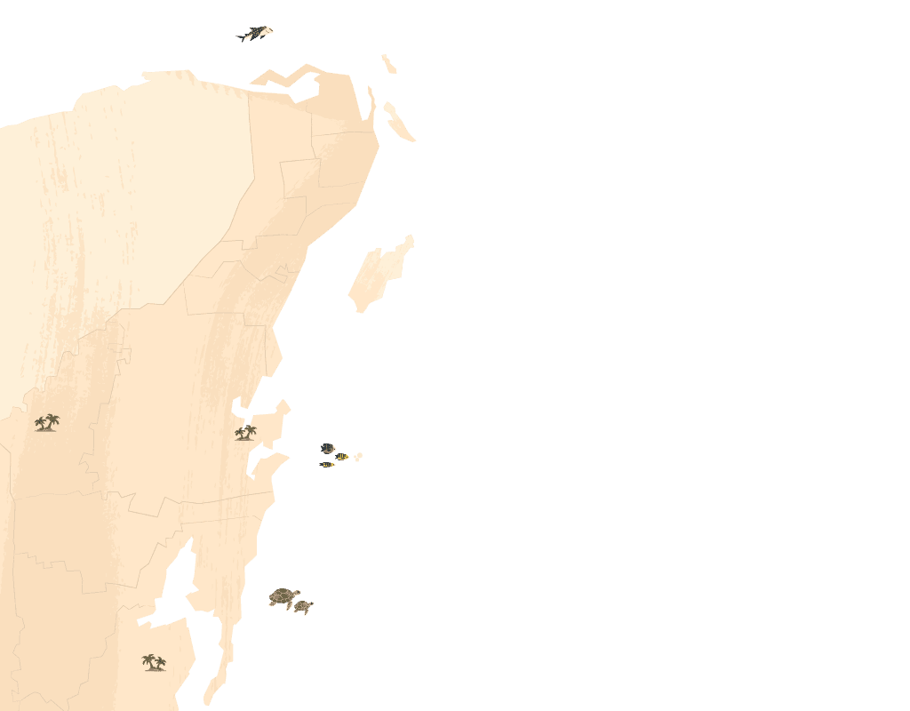 Mapa del Caribe Mexicano, de Isla Holbox a Chetumal